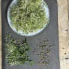 Dehner Bio Gemüsesamen > -Keimsprossen 'Wellness-Mischung'