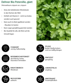 Dehner Bio Petersilie glatt, 6er Schale Grün Sale