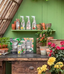Dehner Bio Spezialdünger|Bio-Dünger - Rainfarn- & Wermut-Spray, 500 ml