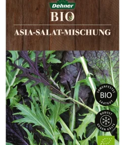 Dehner Bio Gemüsesamen > -Saatgut Asia-Salat-Mischung