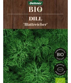 Dehner Bio -Saatgut Dill 'Blattreicher' New