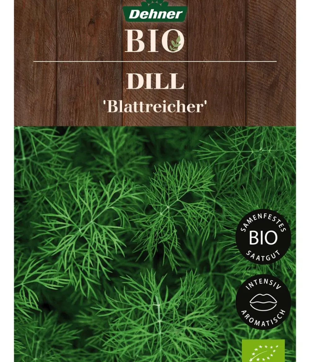 Dehner Bio -Saatgut Dill 'Blattreicher' New