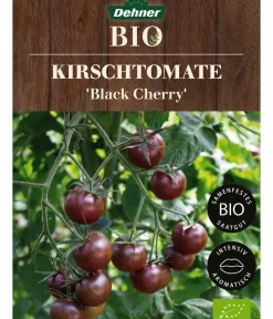 Dehner Bio -Saatgut Kirschtomate 'Black Cherry' Best