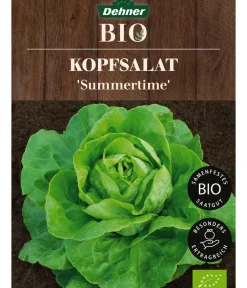 Dehner Bio Gemüsesamen - -Saatgut Kopfsalat 'Summertime'