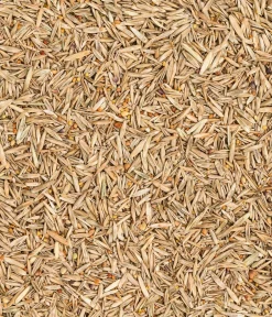 Dehner Bio Rasensamen - Saatgut Naturwiese, 250 g