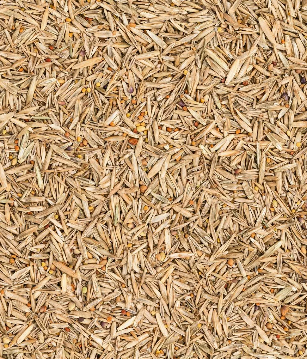 Dehner Bio Rasensamen - Saatgut Naturwiese, 250 g