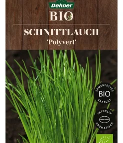 Dehner Bio Kräutersamen > -Saatgut Schnittlauch 'Polyvert'