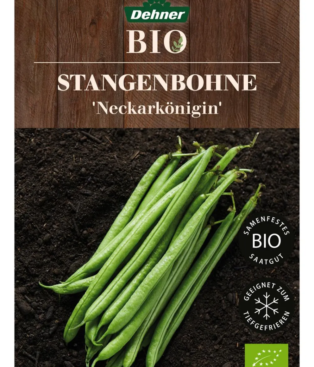Dehner Bio Gemüsesamen > -Saatgut Stangenbohne 'Neckarkönigin'