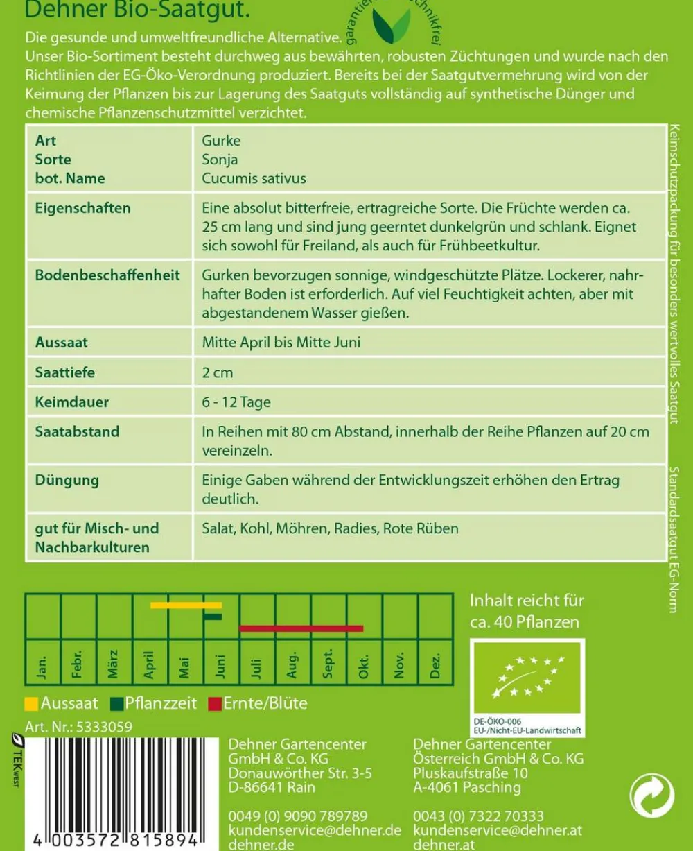 Dehner Bio -Samen Salatgurken 'Sonja'