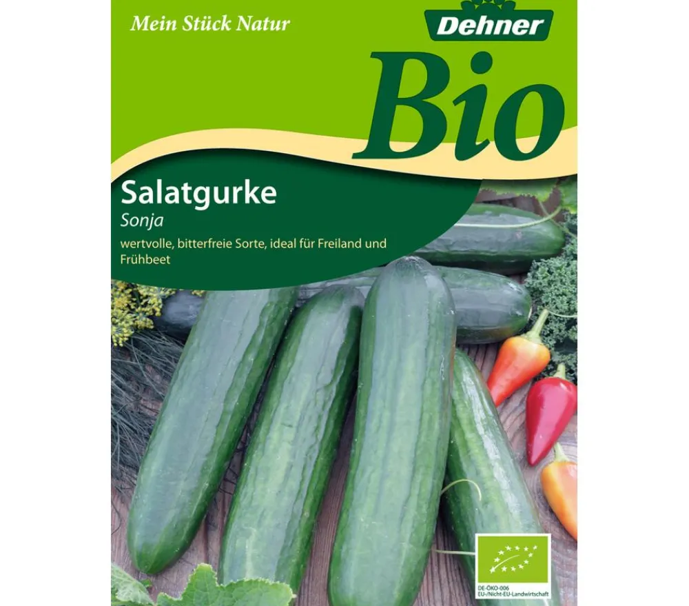 Dehner Bio -Samen Salatgurken 'Sonja'