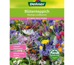 Dehner Blütenteppich 'Niedrige Landblumen' Hot