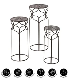 Dehner Blumenhocker-Set Giulia, schmal, 3-teilig Dunkelbraun Online
