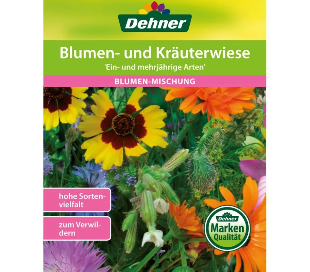 Dehner Blumensamen - Blumen- und Kräuterwiese 'Ein- und mehrjährige Arten' Bunt