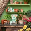 Dehner Spezialdünger - Bonsai-Dünger, flüssig, 250 ml