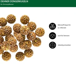 Dehner Düngerkugeln für Zimmerpflanzen, 25 Stück New