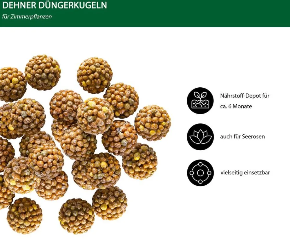 Dehner Düngerkugeln für Zimmerpflanzen, 25 Stück New