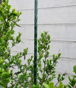 Dehner Rankstäbe > Fiberglas-Pflanzenstab