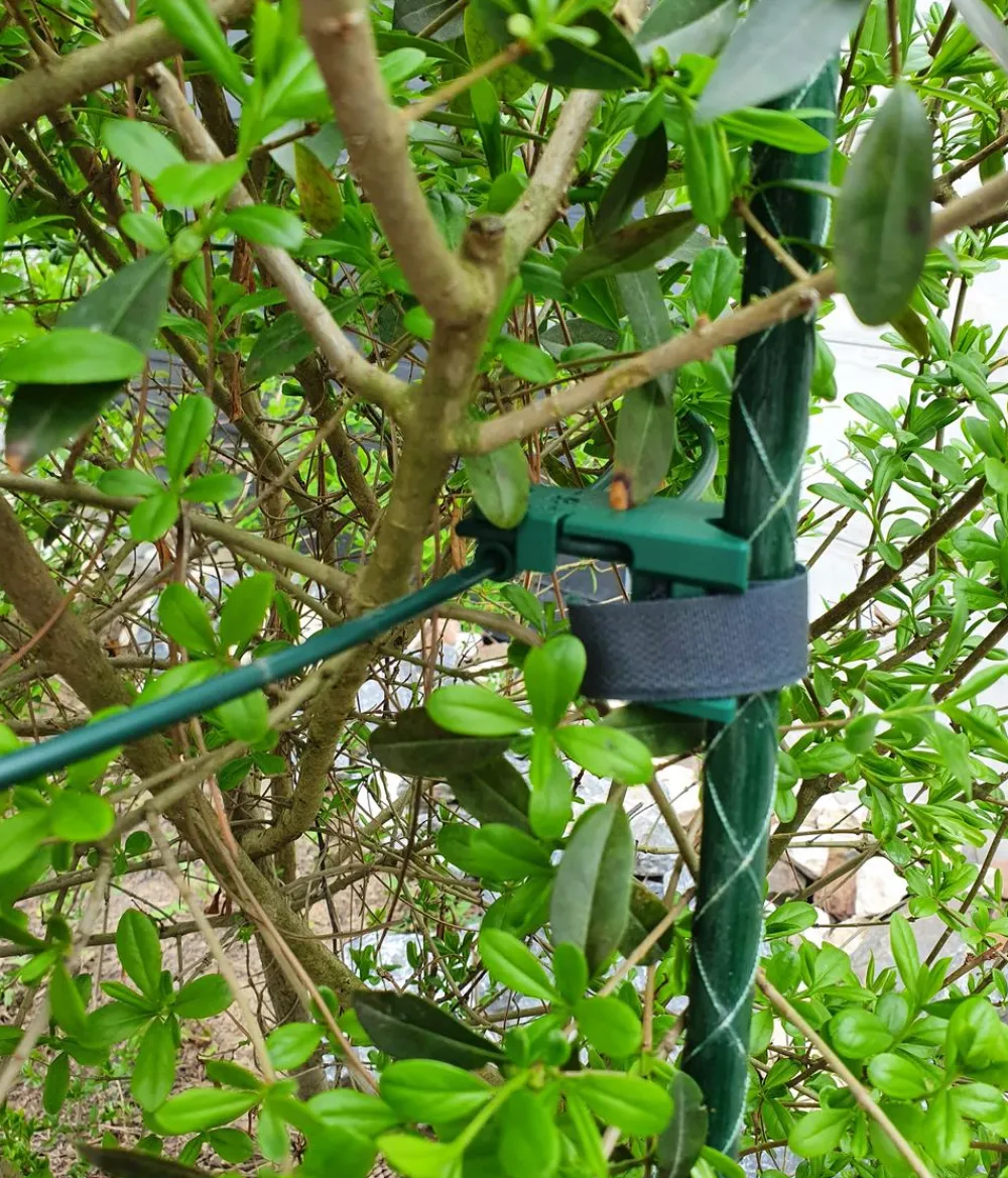 Dehner Fiberglas-Pflanzenstab Grün New