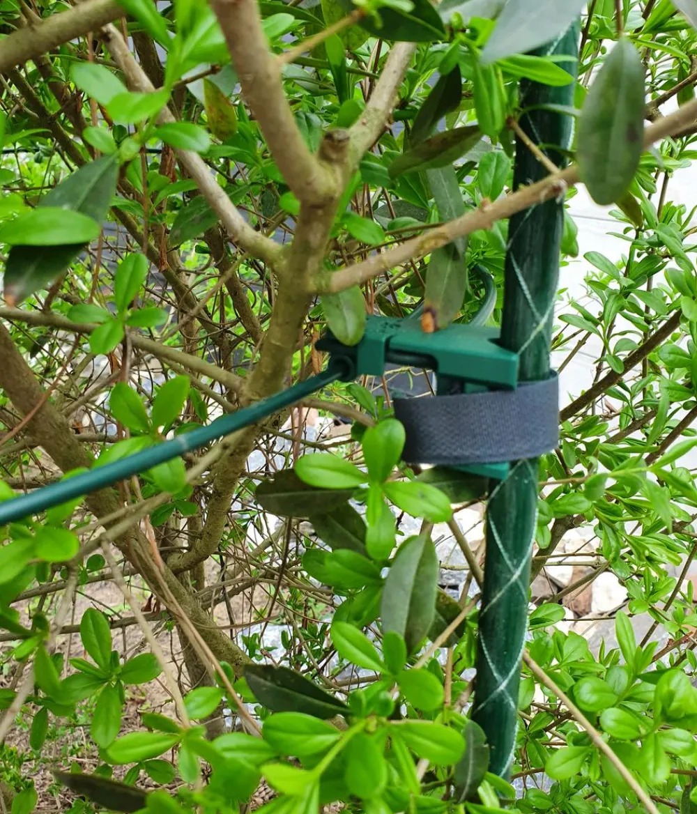 Dehner Fiberglas-Pflanzenstab Grün New