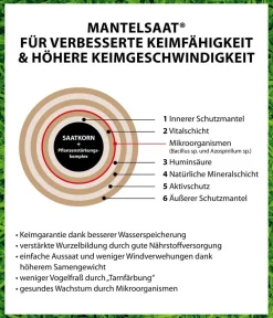 Dehner Rasensamen - Frühjahrsrasen-Nachsaat, 750 g