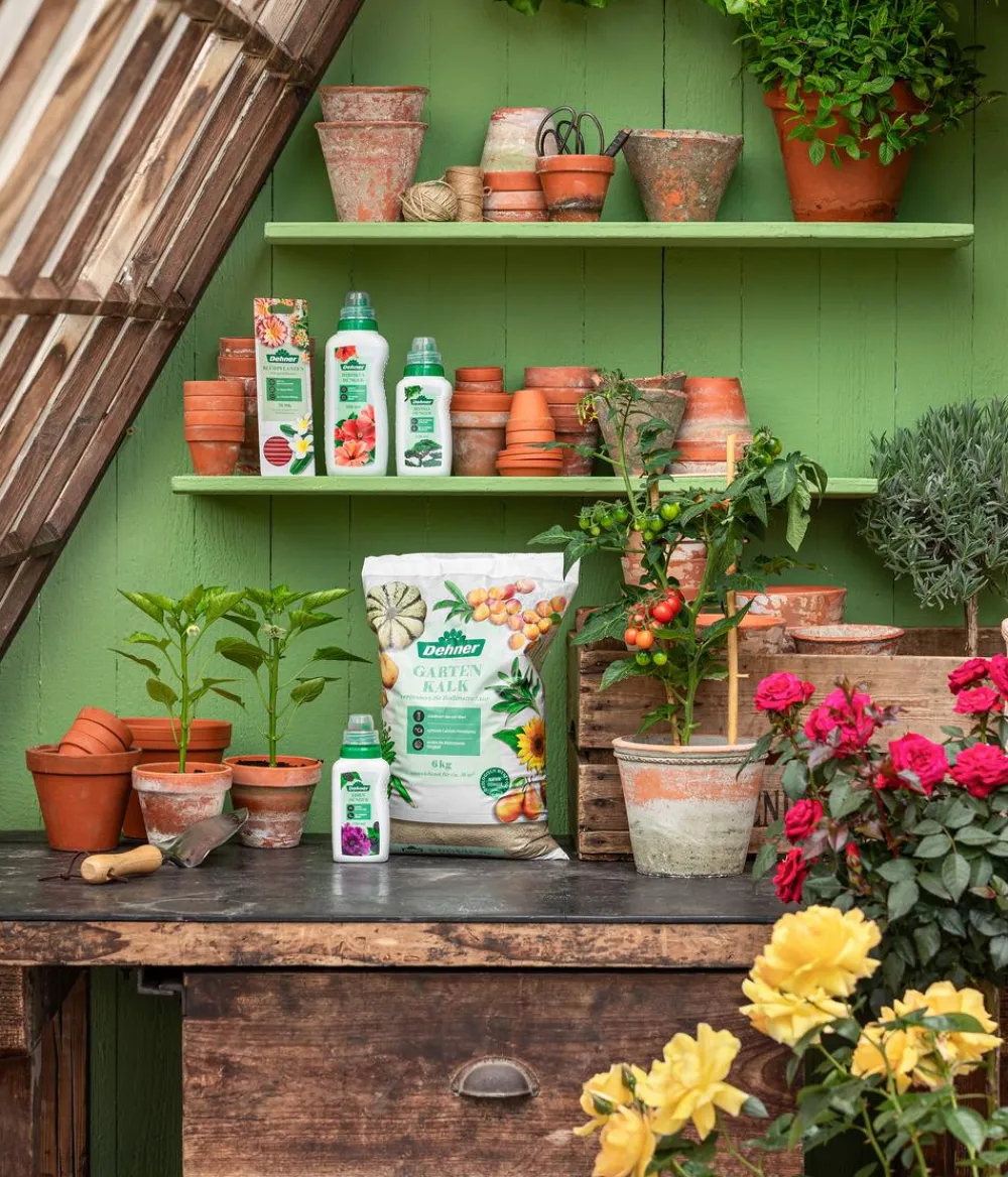 Dehner Gartenkalk Hot