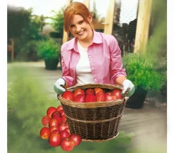 Dehner Mehr Gartendekoration > Gartenkorb