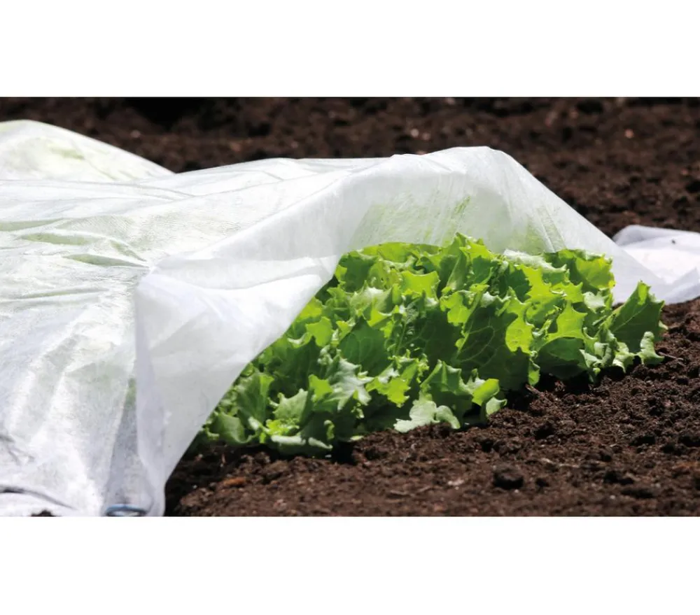 Dehner Pflanzenfolien & Ernteschutz > Gartenvlies, ca. L10 m/B150 cm