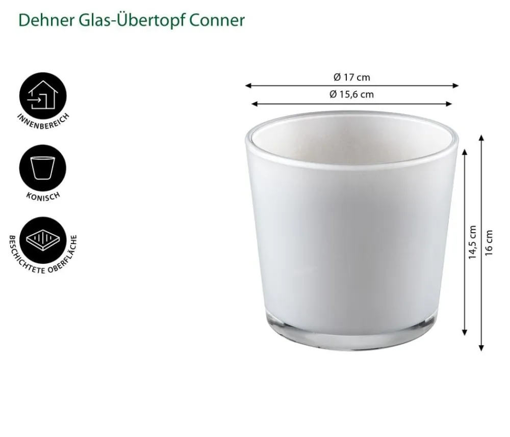 Dehner Blumentöpfe & Übertöpfe > Glas-Übertopf Conner, konisch