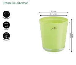 Dehner Orchideentöpfe - Glas-Übertopf, konisch, ca. Ø12 cm Hellgrün