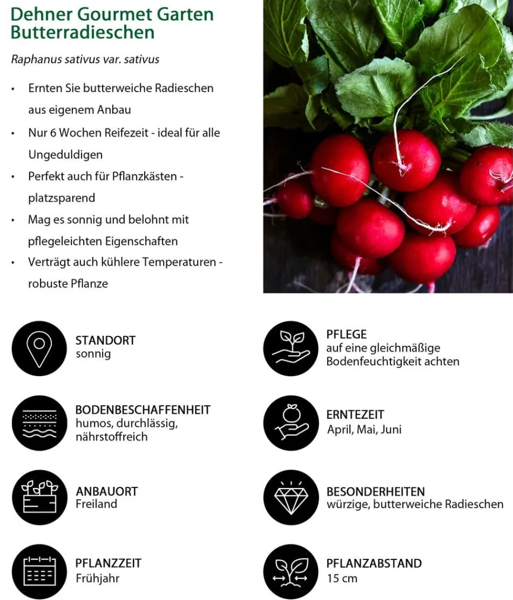 Dehner Gourmet Garten Gartengemüse > Butterradieschen, 20er Schale