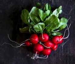 Dehner Gourmet Garten Gartengemüse > Butterradieschen, 20er Schale