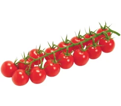 Dehner Gourmet Garten Auberginen- & Tomatenpflanzen > Cherrytomate, veredelt
