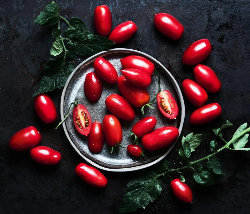 Dehner Gourmet Garten Datteltomate, veredelt Rot Best