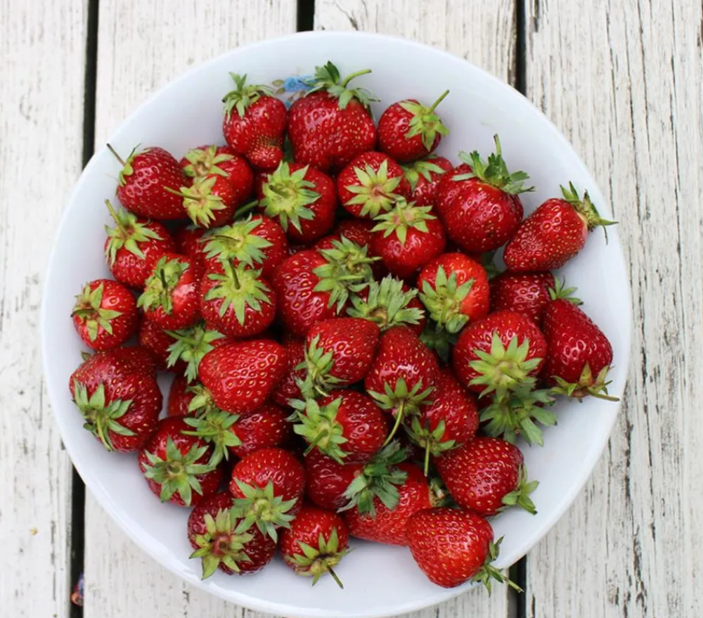 Dehner Gourmet Garten Erdbeerpflanzen - Erdbeere 'Mara des Bois' Rot