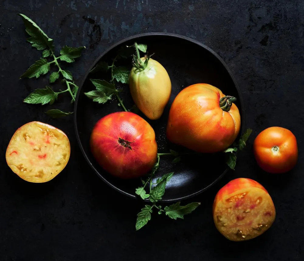 Dehner Gourmet Garten Fleischtomate, Orange