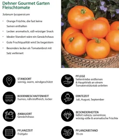 Dehner Gourmet Garten Fleischtomate, Orange