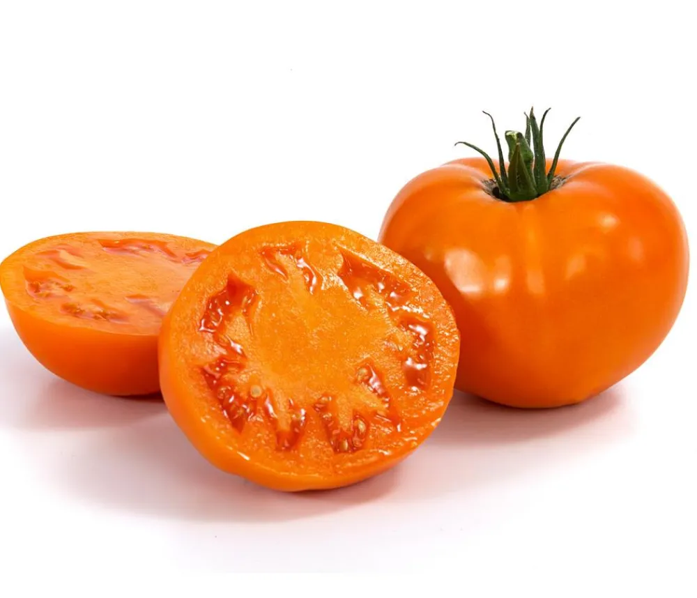 Dehner Gourmet Garten Fleischtomate, Orange