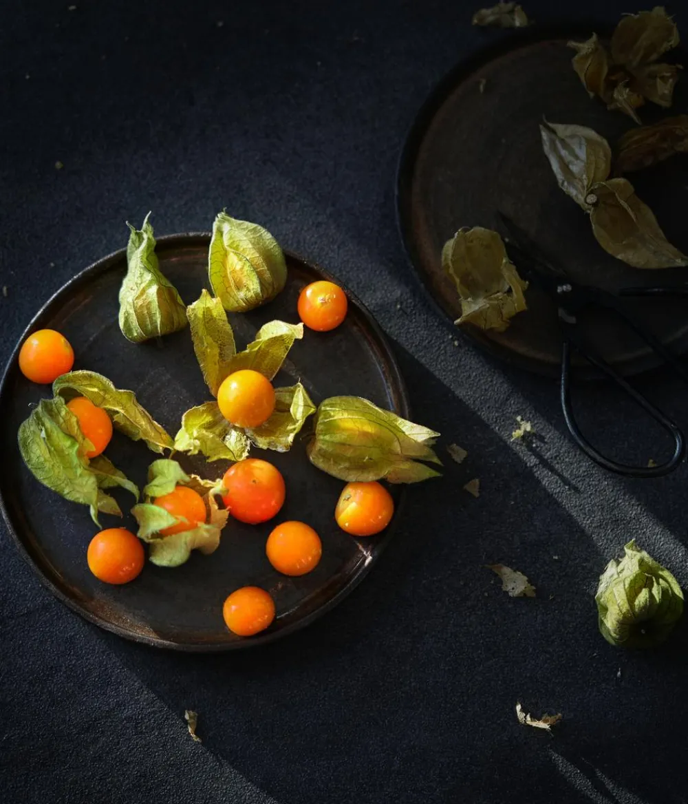 Dehner Gourmet Garten Goldandenbeere Gelb Outlet