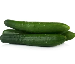 Dehner Gourmet Garten Landgurke, veredelt Grün Hot