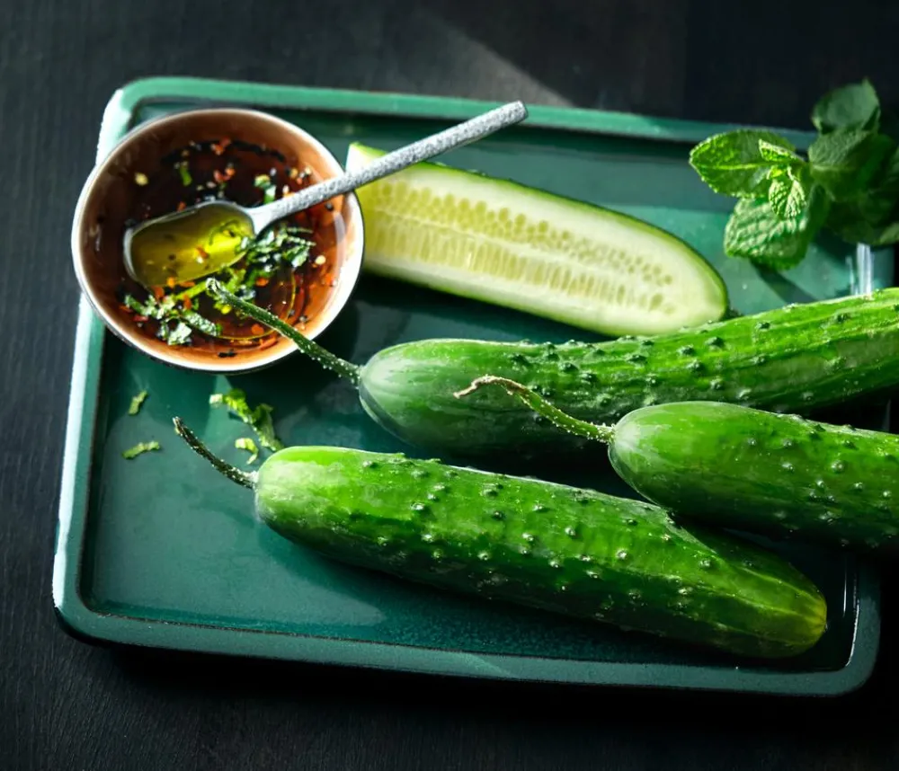 Dehner Gourmet Garten Landgurke, veredelt Grün Hot