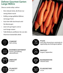 Dehner Gourmet Garten Lange Möhre, 20er Schale Orange Hot