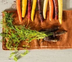 Dehner Gourmet Garten Lange Möhre, 20er Schale Orange Hot