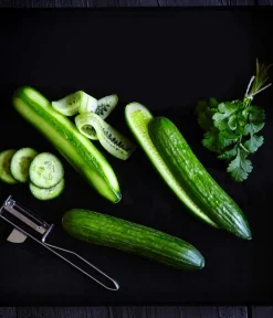 Dehner Gourmet Garten Zucchini- & Gurkenpflanzen > Mini Schlangengurke, veredelt