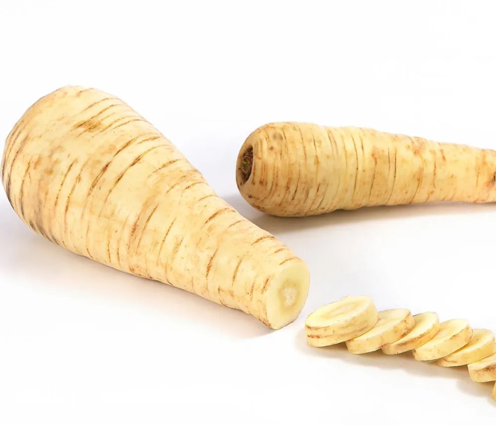 Dehner Gourmet Garten Gartengemüse > Pastinake