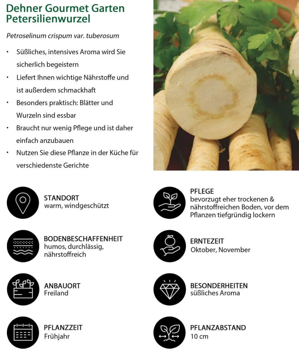 Dehner Gourmet Garten Gartengemüse - Petersilienwurzel