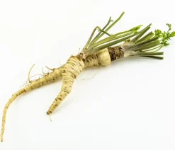 Dehner Gourmet Garten Gartengemüse - Petersilienwurzel