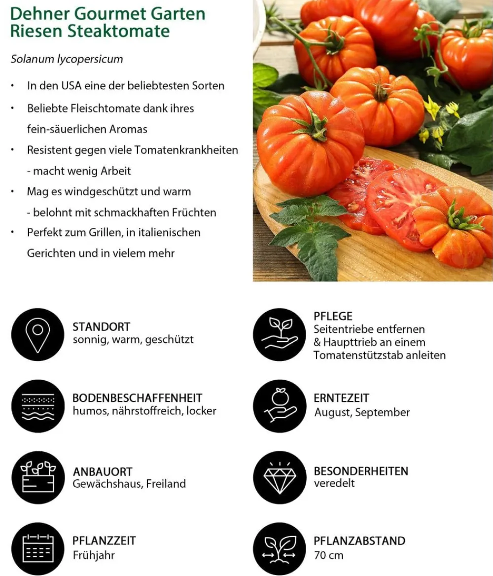 Dehner Gourmet Garten Auberginen- & Tomatenpflanzen - Riesen Steaktomate, veredelt Rot