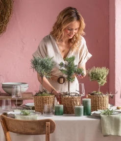 Dehner Gourmet Garten Garten- & Heilkräuter|Gourmet-Kräuter > Rosmarin, Stamm