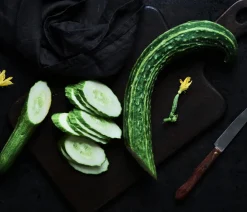 Dehner Gourmet Garten Zucchini- & Gurkenpflanzen - Schlangengurke, veredelt Grün
