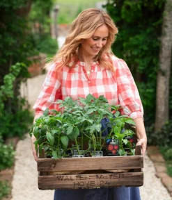 Dehner Gourmet Garten Peperoni- & Paprikapflanzen - Tomatenpaprika Rot